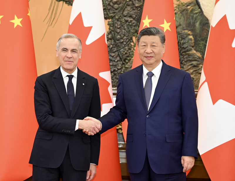 下载 (4).png